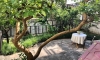 Apartamenty STOJOVIC, Meljine, Apartamenty