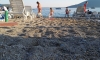 Apartamenty Jelena, Herceg Novi, Apartamenty