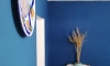 Pensjonat Buljarica, Buljarica, Apartamenty