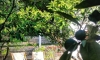 Pensjonat Buljarica, Buljarica, Apartamenty