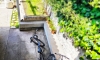 Pensjonat Buljarica, Buljarica, Apartamenty
