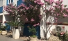 Apartmány ALEKSIĆ, Becici, Apartmany