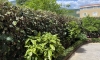 Apartamenty MILINOVIC, Bijela, Apartamenty