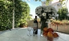 Villa Mila, Petrovac, Apartmany