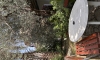 Villa Aleksandar Sutomore, Sutomore, Apartmany