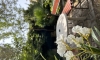 Villa Aleksandar Sutomore, Sutomore, Apartmany