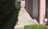 Pokoje DJURASEVIC, Petrovac, Apartmany