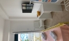Apartamenty Milicevic, Herceg Novi, Apartamenty
