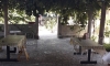 Apartamenty i pokoje CETKOVIC, Tivat, Apartamenty