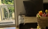 Apartament Anika, Petrovac, Apartamenty