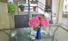 Apartament Aleksandara 5, Budva, Apartamenty
