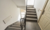 Apartamenty Franicevic, Petrovac, Apartamenty