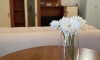 Apartmány KATARINA, Petrovac, Apartmany