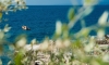 Open Sea Luxury Apartments Utjeha Czarnogóra, Utjeha, Apartamenty