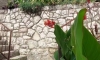 Apartmani Morski Raj , Sutomore, Boende