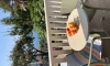 Apartamenty Milicevic, Herceg Novi, Apartamenty