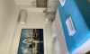Apartamenty Milicevic, Herceg Novi, Apartamenty