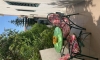 Apartamenty Milicevic, Herceg Novi, Apartamenty