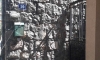 Apartamenty MARKOVIĆ, Sutomore, Apartamenty