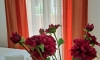Pokoje ML Budva, Budva, Apartamenty